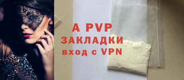 индика Аркадак