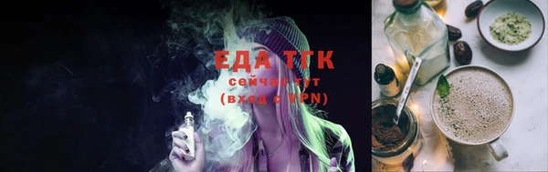 индика Аркадак