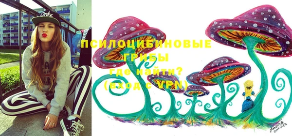 МДПВ Армянск