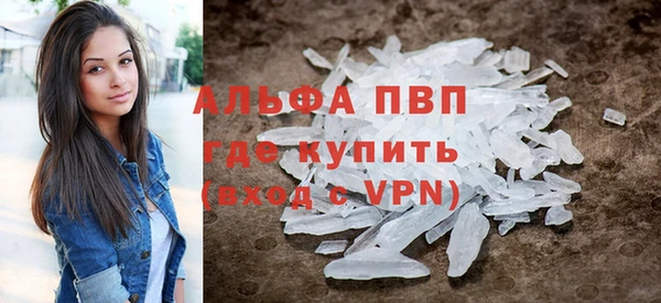 индика Аркадак
