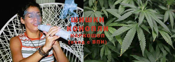 индика Аркадак