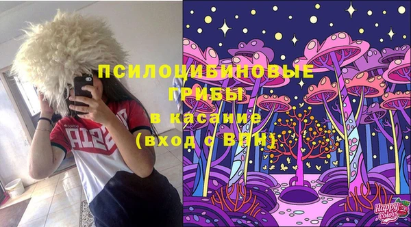 индика Аркадак