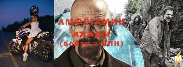 индика Аркадак