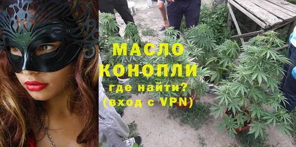 гидра Арсеньев