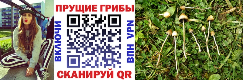 что такое наркотик  Кукмор  Галлюциногенные грибы ЛСД 